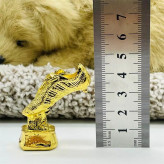 کفش طلا فوتبال اصل برند ساکروی