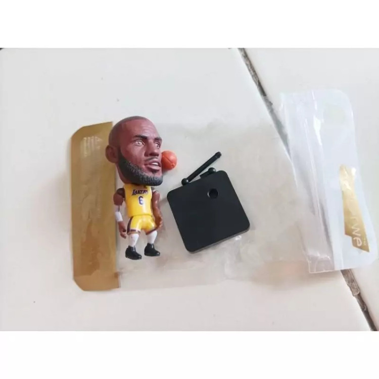 لبرون جیمز ساکروی