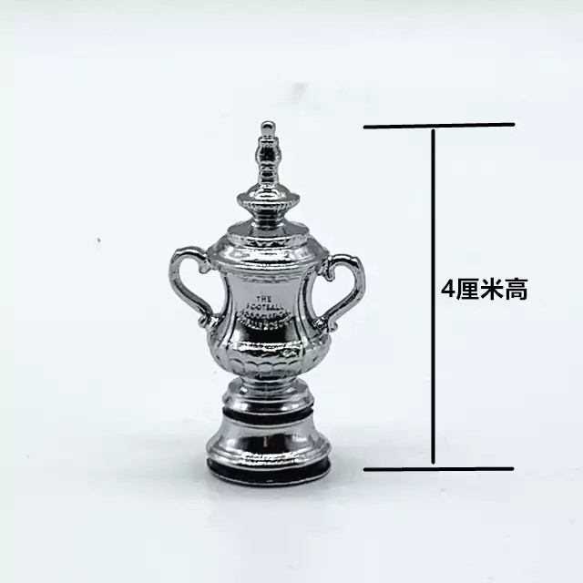 جام حذفی انگلستان ساکروی