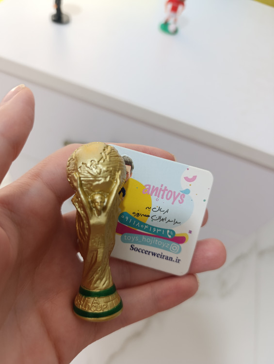 کاپ جام جهانی ساکروی