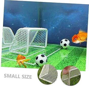 دروازه آکواریومی ساکروی