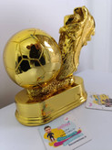 ماکت کفش طلا توپ دار