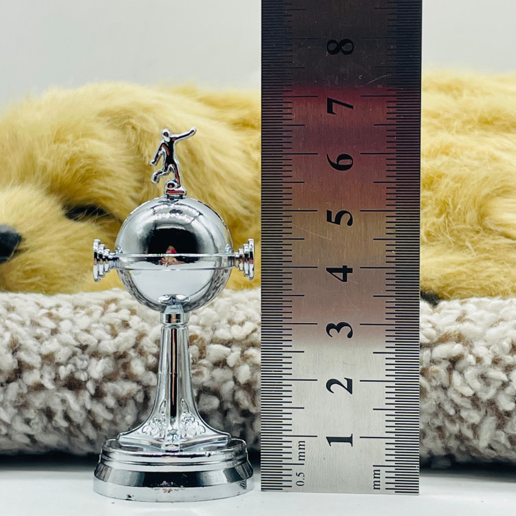 کاپ لیبرتادورس ساکروی