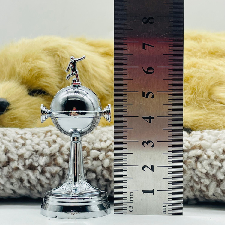 کاپ لیبرتادورس ساکروی