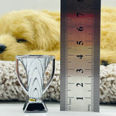 جام قهرمانی باشگاه های آسیا ساکروی