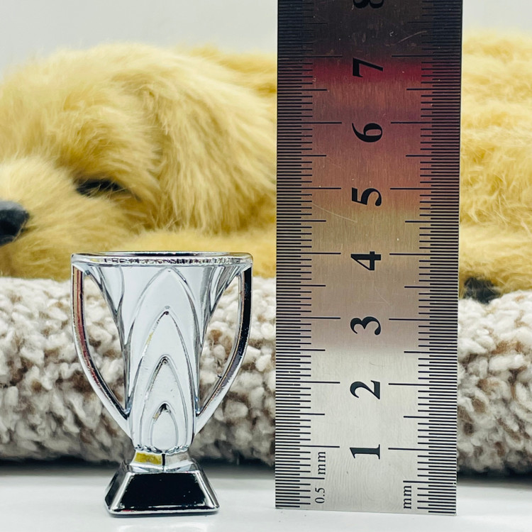 جام قهرمانی باشگاه های آسیا ساکروی