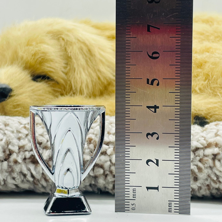 جام قهرمانی باشگاه های آسیا ساکروی