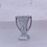 کاپ قهرمانی باشگاه آسیا