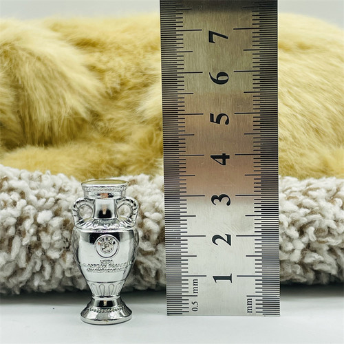 جام یورو ساکروی