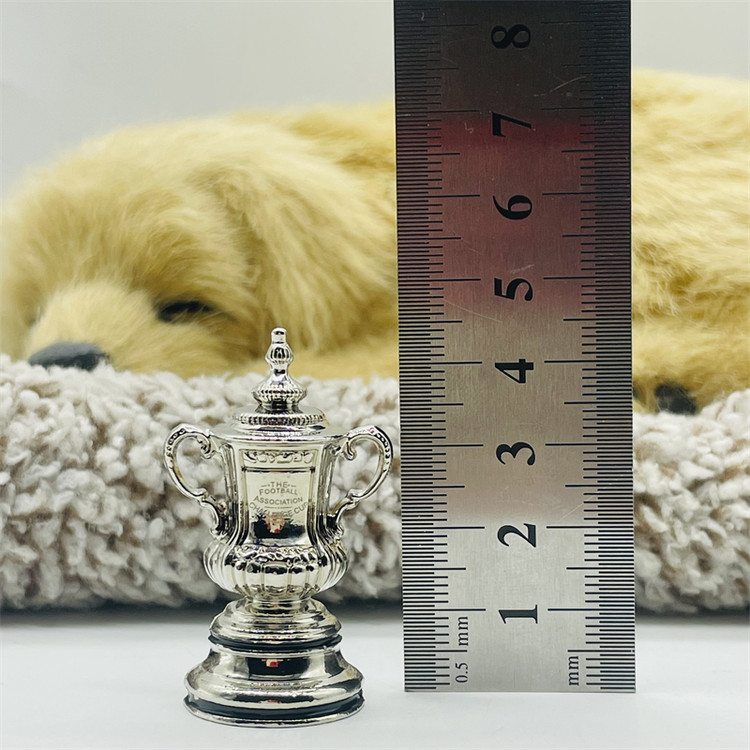 کاپ حذفی انگلستان