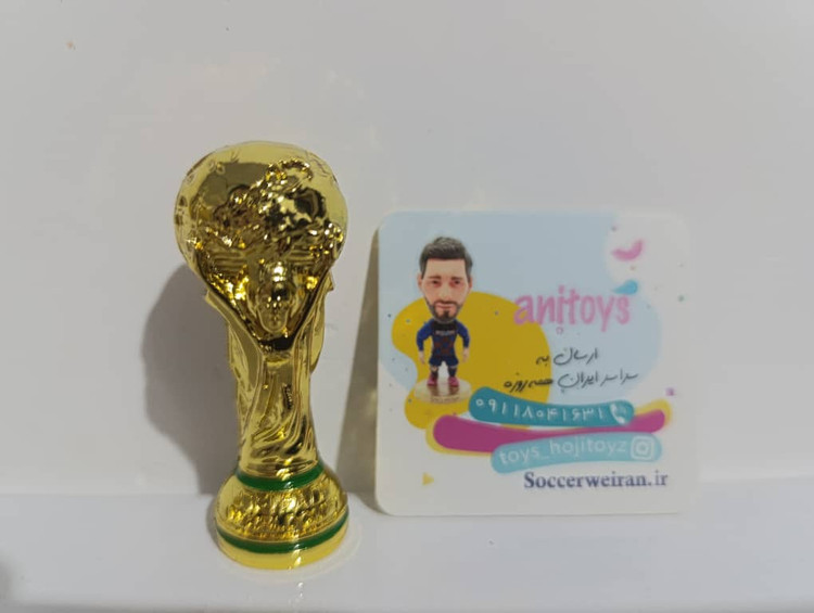 جام جهانی ۶ سانتی