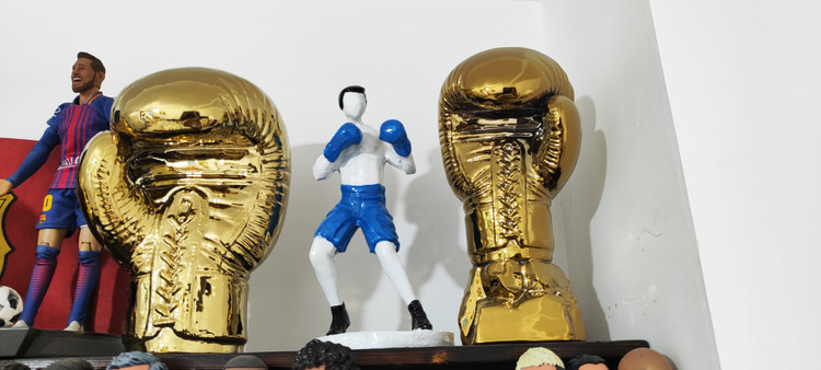 دستکش طلا بوکس