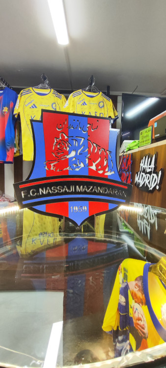 لگو تیم نساجی مازندران